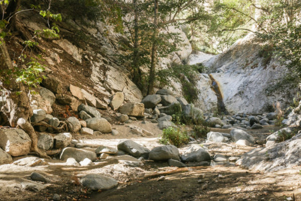 Bear Canyon Intermediate Backpacking